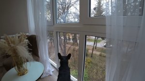 Кисловодск. Утро в квартире. День 2-й, часть 1-я. 13.11.2025.