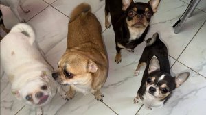 Все получили по маленькому кусочку.