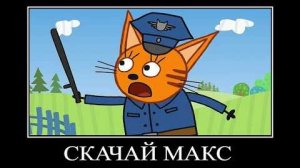 874 СЕКУНДЫ РЖАКИ ТРИ КОТА 😂 ПОПРОБУЙ НЕ ЗАСМЕЯТЬСЯ