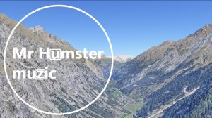 Mr Humster muzic / bass 32