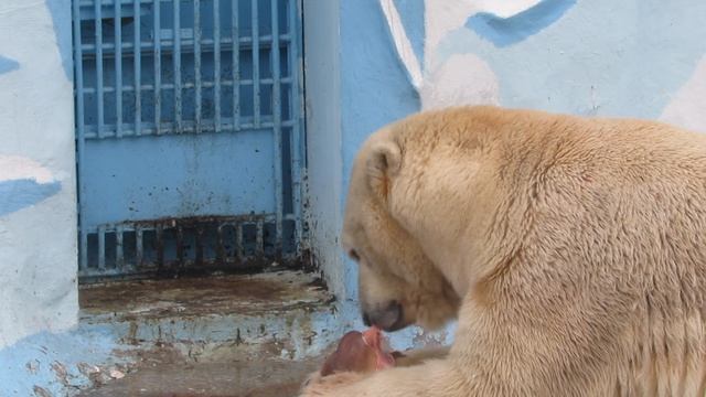 Кай обедает