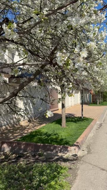 ❤️Таро ✨ Для привлечения любви💎