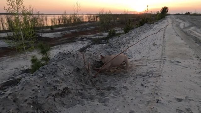 Лучший отдых на природе в ХМАО, Сибирь