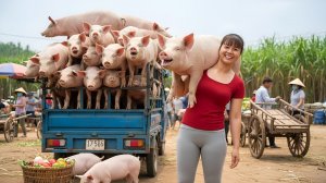 Продала годовалых свиней и кур для покупки новых поросят. Фуонг. Жизнь во Вьетнаме