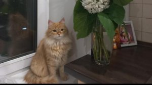 ВСЕМ ПРИВЕТИК 😁