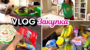 США Влог Праздник в плохом настроении Нет одежды