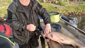 Тула рулит. 7 апреля.