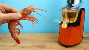 Что если бросить огромную Креветку в соковыжималку Сок из Креветок! Бедная соковыжималка