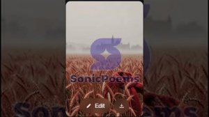 Сергей Есенин — Опять раскинулся узорно