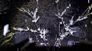 снег весной