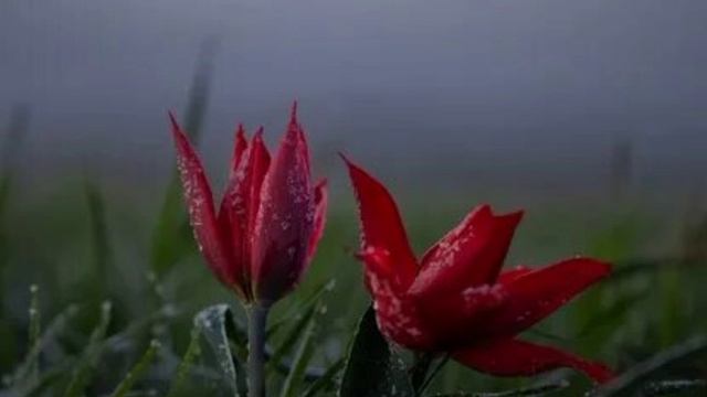 М.863)) Молимся вместе. Мудрость да руководит мною.