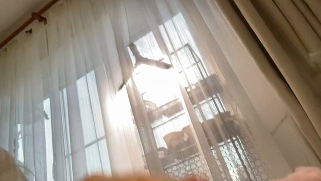 Оформляю тетрадку осд и ежедневник🌸|Mashka_Masha💋🎄