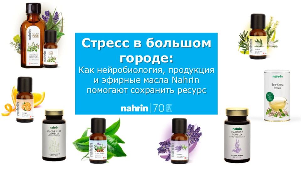 Стресс в большом городе - как нейробиология, продукция Nahrin помогают сохранить ресурс