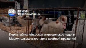 Пернатый калейдоскоп и крещенское чудо: в Мариупольском зоопарке двойной праздник! 07.04.2026