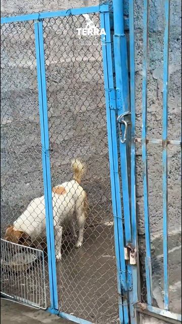 хлынул дождь