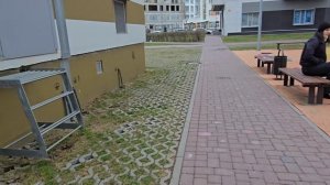 07-04-2026 Красный борщ по быстрому // Уборка