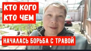 223🏡Успеть до дождя/Высадила перцы/Борьба с травой/Сады цветут
