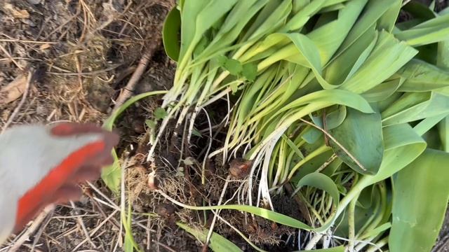 Продолжаю уборку во дворе ☺️😍