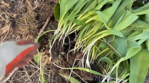 Продолжаю уборку во дворе ☺️😍