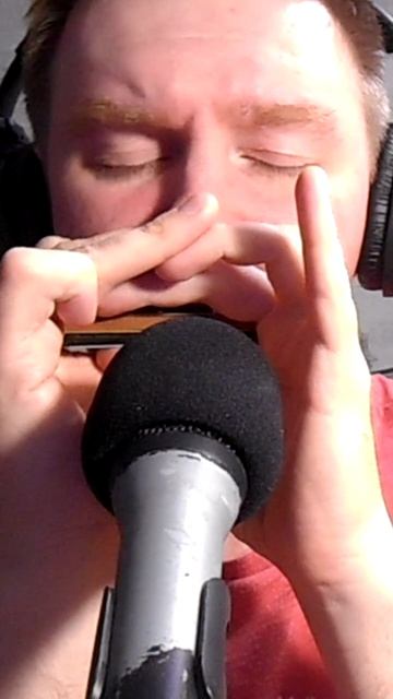 Friendships - Pascal Letoublon - на губной гармошке