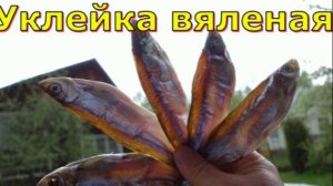 Уклейка вяленая