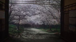 13   Любовь между строк (Китай 2026)