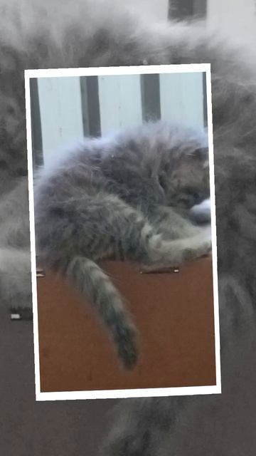 Плюшевый малышок