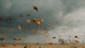 Не люблю осень