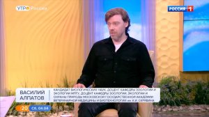 "Манул Тимофей" Доцент МПГУ В.В.Алпатов на канале Россия-1 "Утро России"