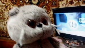 Иван смотрит рекламу синекод .