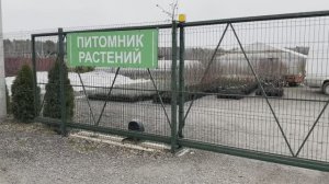 ПОКАТУШКИ С НАМИ В КОЛОМНУ И ПИТОМНИК РАСТЕНИЙ