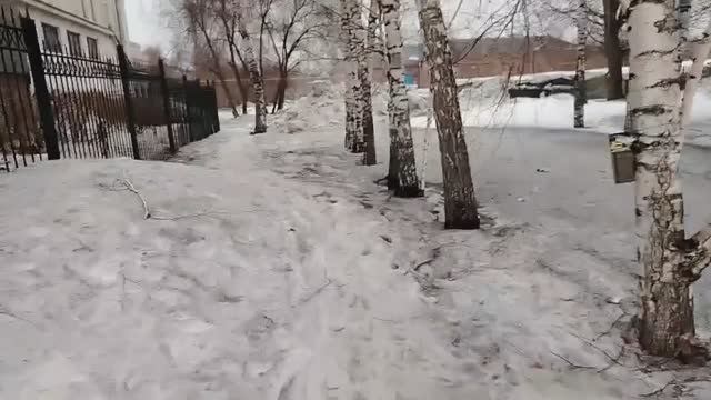 Влог за неделю, готовлю вкусную еду, купила семена  в Новэксе, наконец то весна!)