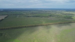 Старые Камышлы 74Га