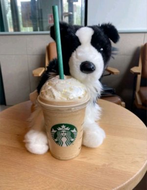 трансляция 2 часть🪺