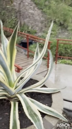 С Благовещением!