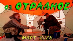 Оз.Отрадное. Март 2026.