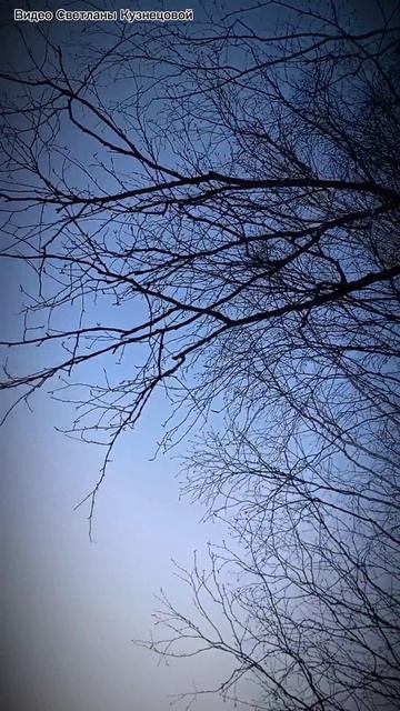 Когда зима говорит 