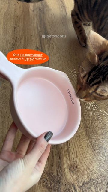 Обзор: PETSHOP Миска керамическая для кошек и собак с ручкой “Сковорода” (арт. 68138)