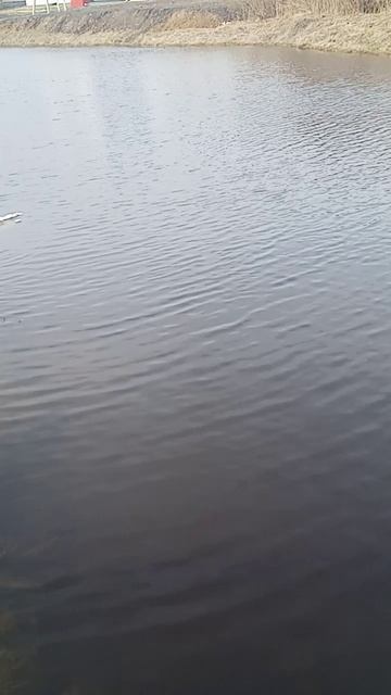 Где-то в России!!!