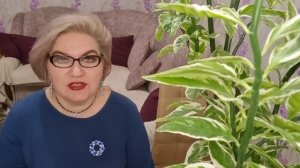 4 часть. Куча счастливо ЖЕНАТА на с@пле👬❗️Санатории для них "ОТСТОЙ"❗️