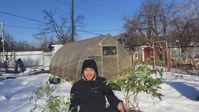 КОГДА ТЫ ВЫСЕВАЕШЬ РАССАДУ ?