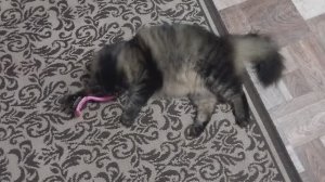 ✅️7 апреля!Мои покупки,обошла владения свои.