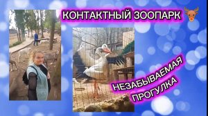 Незабываемый отдых в контактном зоопарке 🦌 Архивное видео — шикарно погуляли!