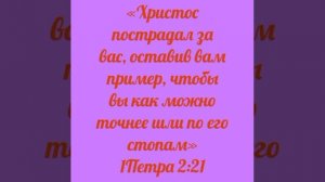 YouCut_20260407_004701620.mp4