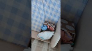 домик басикам