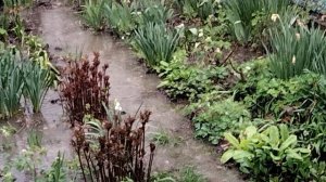 Погода нас не радует!