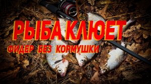 Рыба клюет. Фидер без кормушки весной