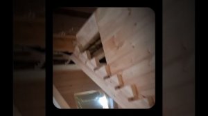 1000055306.mp4 (Собака наблюдает за устройством лестницы на 2-ой этаж в доме А-фрейм)