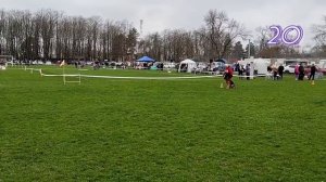 1 Отл. КЧК RUDI v. Team Valtenberg Лучшая защита! №20. КРАСНОДАР 28 марта`26 Моно немецких овчарок