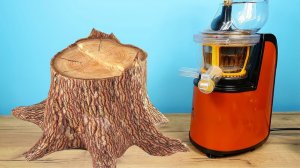 ЧТО ЕСЛИ ВЫЖАТЬ СОК ИЗ ДЕРЕВА? Бедная соковыжималка! Alex Boyko